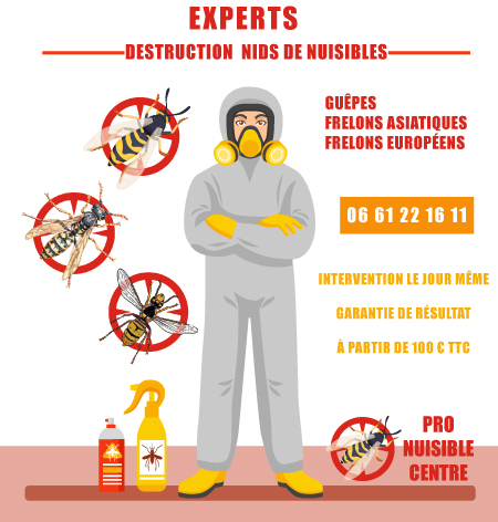 Les abeilles - Chartres Nuisibles - Prévention et Eradication